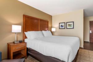 Comfort Inn & Suites Waller