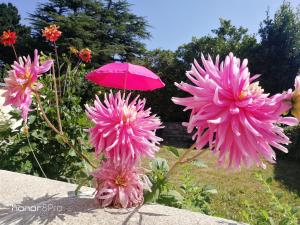 Maisons de vacances Le nid breton : photos des chambres