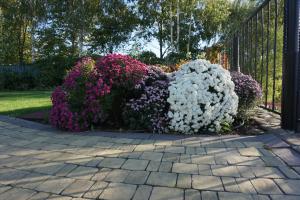 Great accommodation for rest and relaxation!