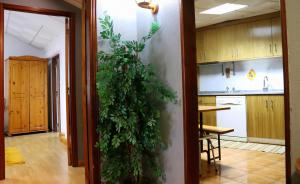 Alojamento Estrela Peles