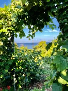 Hillside Apartments - 博尔什