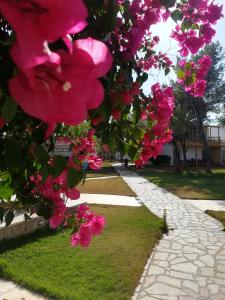Marzi Beach and Bungalows Korinthia Greece
