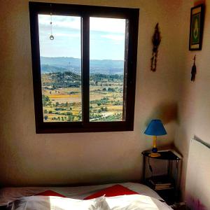 Branca Gonçalves Belmonte