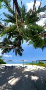 Ocean Jewels - Anse Kerlan