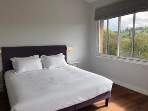 B&B / Chambres d'hotes Chateau Destinee : photos des chambres