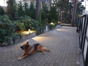 BITTE Three Bedroom Design Cottage