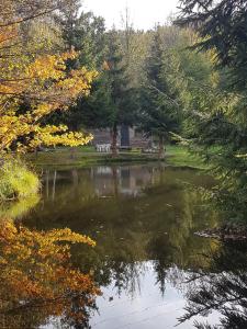 Sejours a la campagne Insolite Tiny House Serenite Bien Etre : photos des chambres