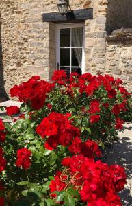 Maisons d'hotes Le Clos Saint Lubin : photos des chambres