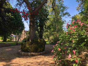 Maisons d'hotes Le Clos Saint Lubin : photos des chambres