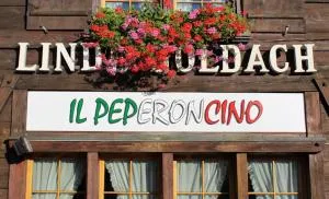 Hotel Linde Goldach - Eggersriet