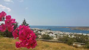 Parian Hill Residence Villa Paros Greece