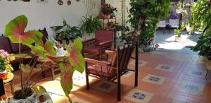 Habitación Ciudad Cariño