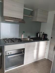 Mobil home paisible au Cap-Ferret - Camping les viviers "au bord du bassin"