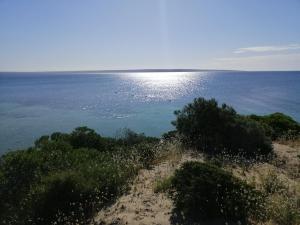 Trading Places Kangaroo Island