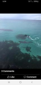 Trading Places Kangaroo Island