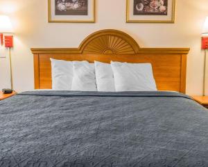 Quality Inn Kalamazoo near Wings Stadium