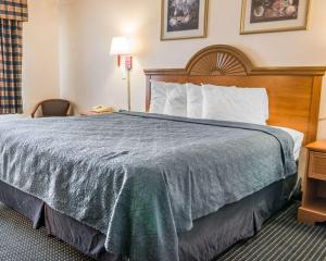 Quality Inn Kalamazoo near Wings Stadium