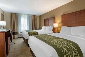 Queen Room with Two Queen Beds - Non-Smoking room in Comfort Inn & Suites Dimondale