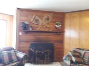 301 D Summit Dr. , Snowshoe Mountains, WV 26209