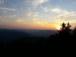 301 D Summit Dr. , Snowshoe Mountains, WV 26209