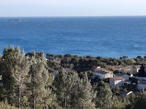Chez Pierrot photo 9