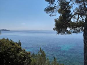 Chez Pierrot photo 6