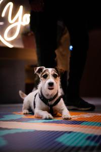 Hotels You Hotel Deauville - Handwritten Collection : photos des chambres