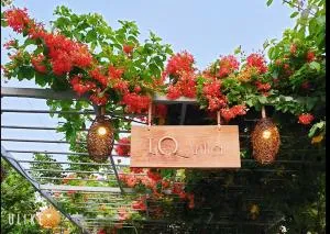 LQ villa -Long Hải - Ấp Lò Vôi
