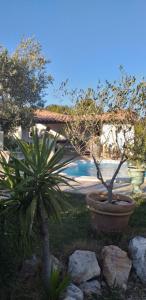 B&B / Chambres d'hotes Cocon Provencal - T1 25m2 - SdB - Terrasse privee & Acces Piscine a Saint Chamas : photos des chambres