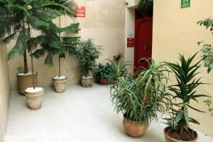 Riad Meftaha
