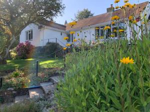 Wingmore - Ubytování bez kategorie ve městě Salisbury