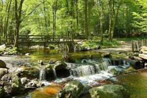 Le basecamp des sommets