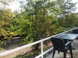 Au repaire des écureuils