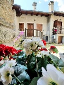 Maison de Neige #Bluchalet