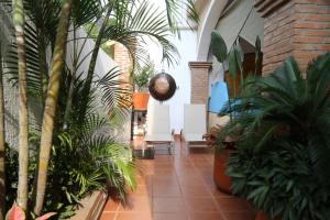 Hotel Diamante Sayulita