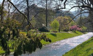 Baden-BadenSpaApartment