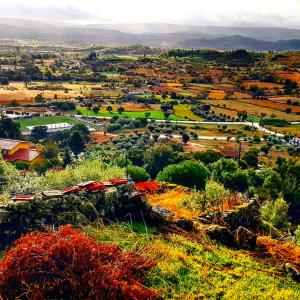 Branca Gonçalves Belmonte