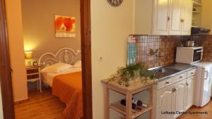 Lefkada Center Apartments