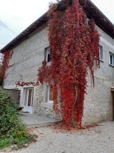 Maisons de vacances OKAMI DU VERCORS : photos des chambres