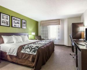 King Room - Non-Smoking room in Sleep Inn & Suites Near I-90 and Ashtabula