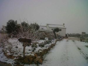 Cortijo Rural Bacares