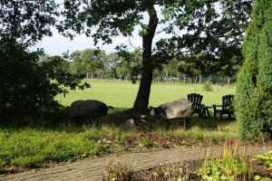 Saksisch Boerderijtje