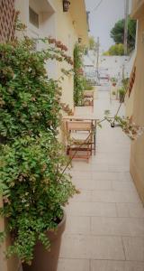 Mistral Appartements : photos des chambres