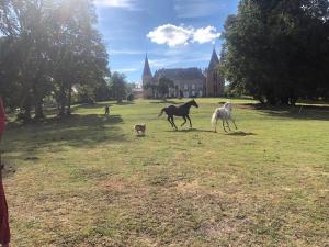 B&B / Chambres d'hotes Chateau de la Forie : photos des chambres
