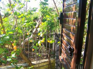 Villa Casa Vacanze Fiore