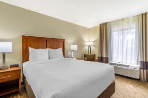 Queen Room - Accessible/Non-Smoking room in Comfort Inn & Suites Clearwater - St Petersburg Carillon Park