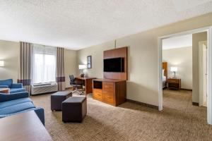 One-Bedroom King Suite with Sofa Bed - Non-Smoking room in Comfort Inn & Suites Clearwater - St Petersburg Carillon Park