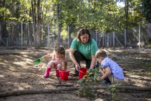 Villages vacances Center Parcs Le Bois aux Daims : photos des chambres