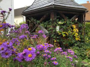 Ferienoase am Schwürbitzer Dom