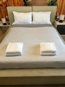 Avelov Art Apartment